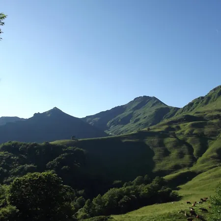 Apartment Petit Plein Pied 2 Pers Avec Terrain Proche Aurillac *