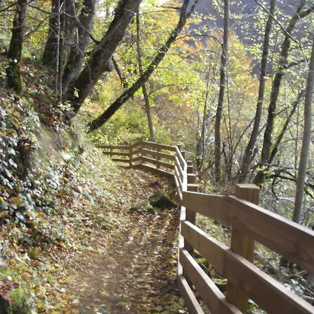 Apartment Petit Plein Pied 2 Pers Avec Terrain Proche Aurillac Ytrac